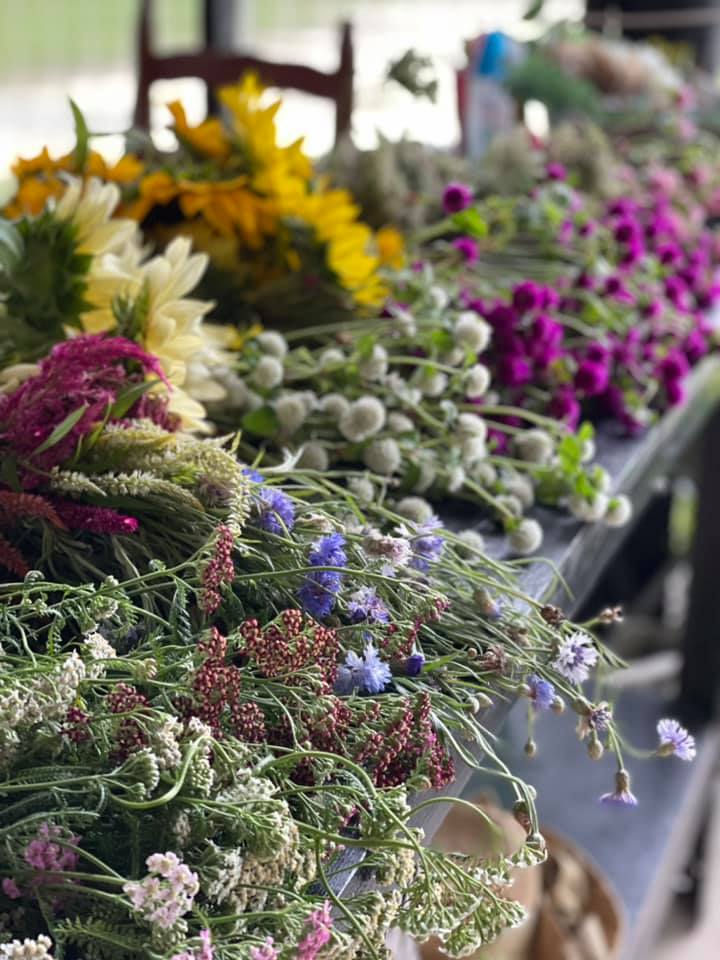 Visit a Local Florida Flower Farm Florida Farm Bureau Insurance