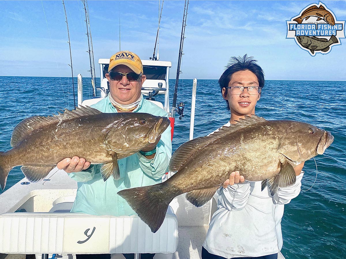 Florida Grouper Fishing Species Regulations Tactics