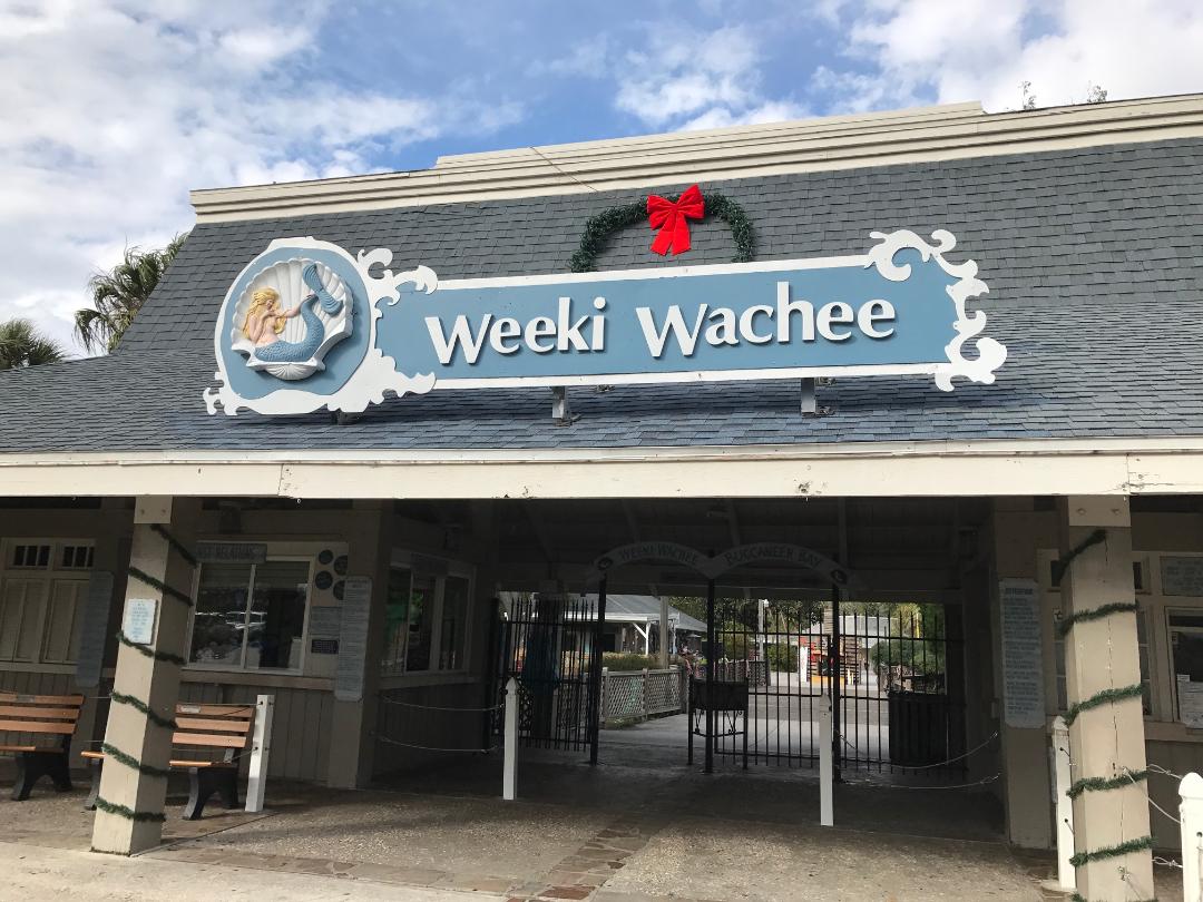 5k Race Near Weeki Wachee Fl + Boy Scout + Christmas Lights 2023 A Weeki Wachee Reprise Florida Fun Travel