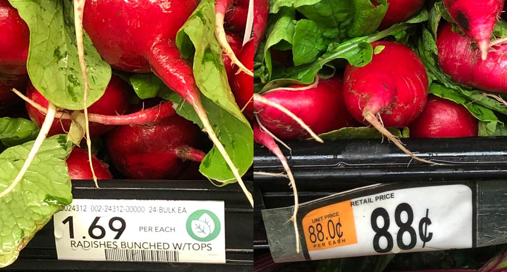 In praise of the price of radishes at Walmart A GATOR IN NAPLES