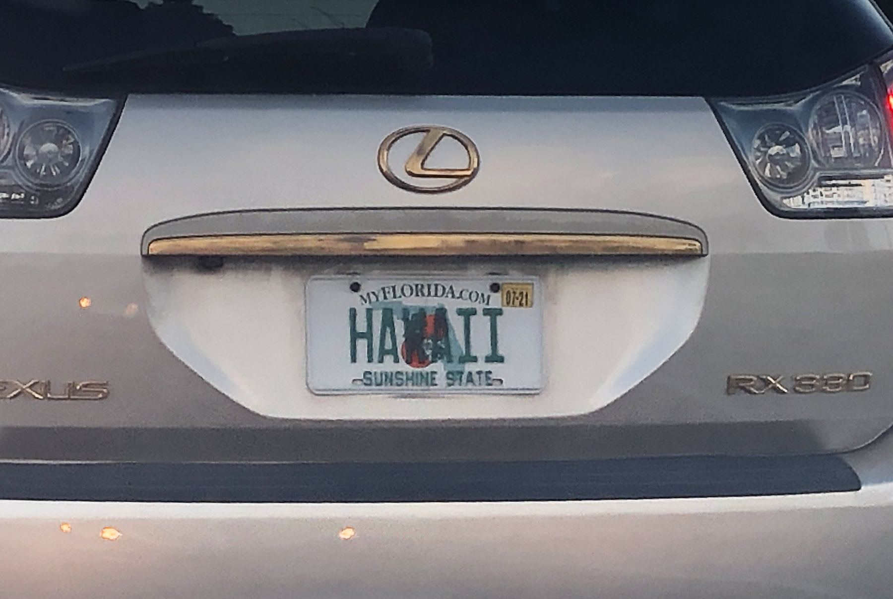 License plate game and I’m cheating a bit on this one A GATOR IN NAPLES