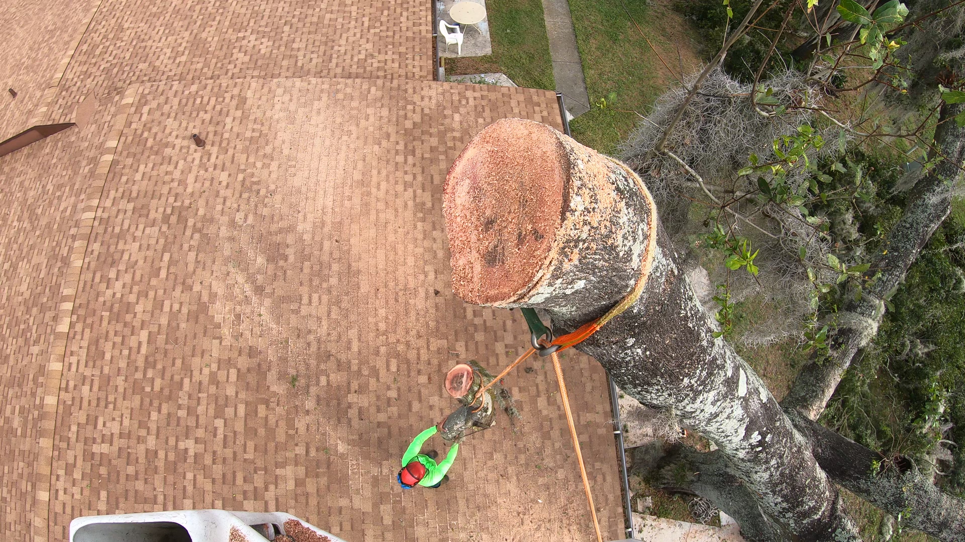 tree removal Florida Green Tree