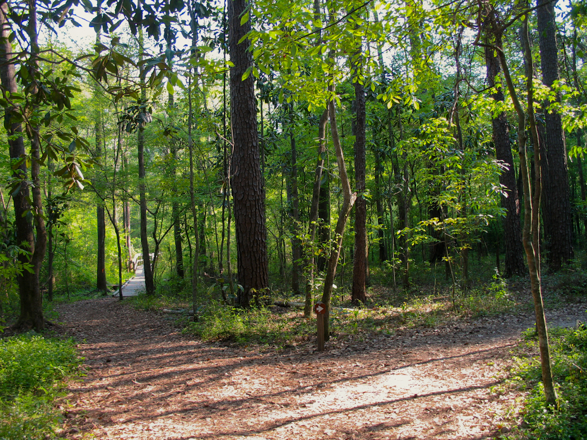 Hiking Tallahassee biking paddling camping Florida Hikes