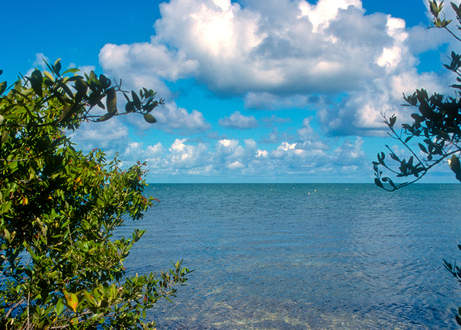 Long Key State Park Florida Hikes!