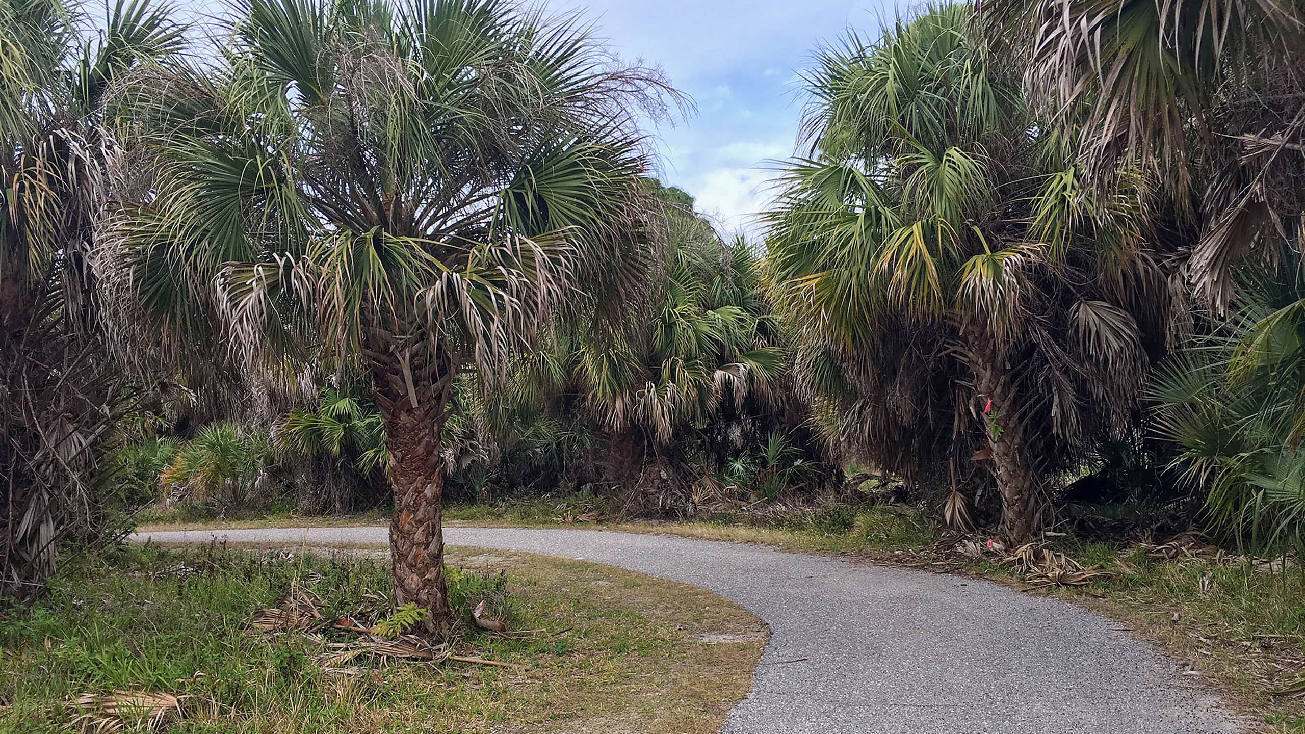 Shamrock Park Venice Waterway Florida Hikes