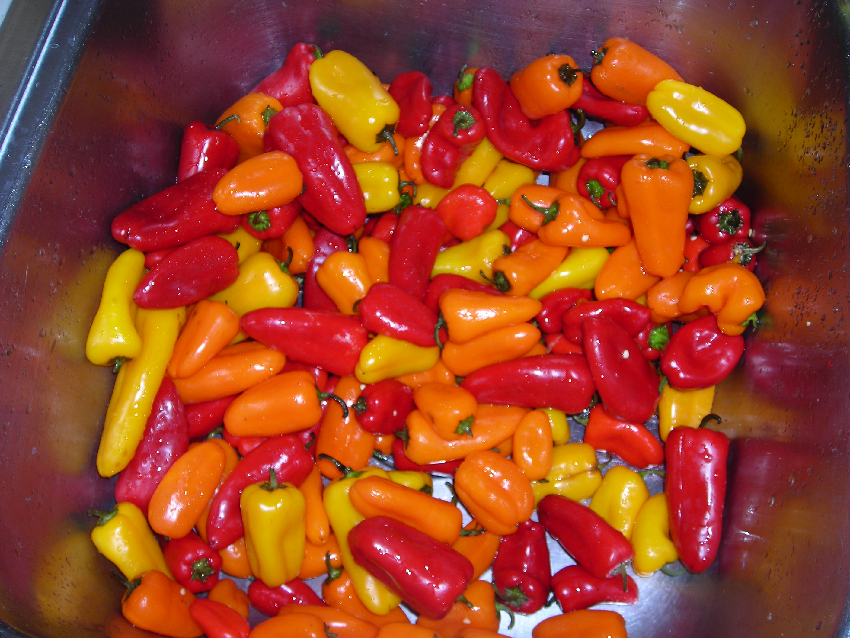 Drying and Storing Sweet Peppers Florida Hillbilly