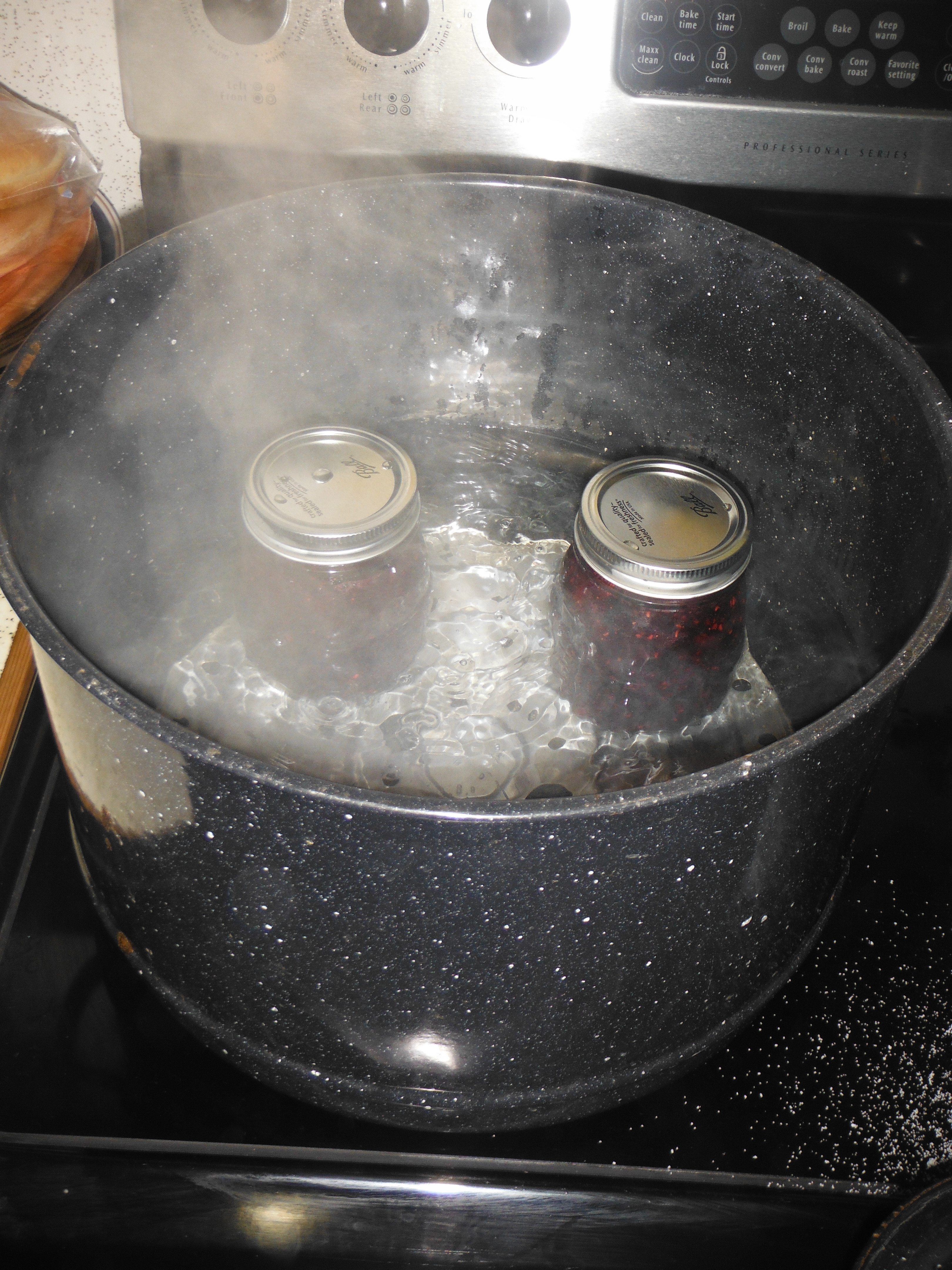 Boiling Water Bath Canning Florida Hillbilly