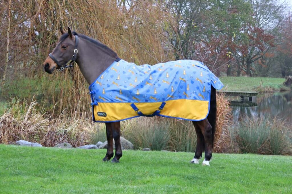 Best Horse Rugs For Spring Florida Independent