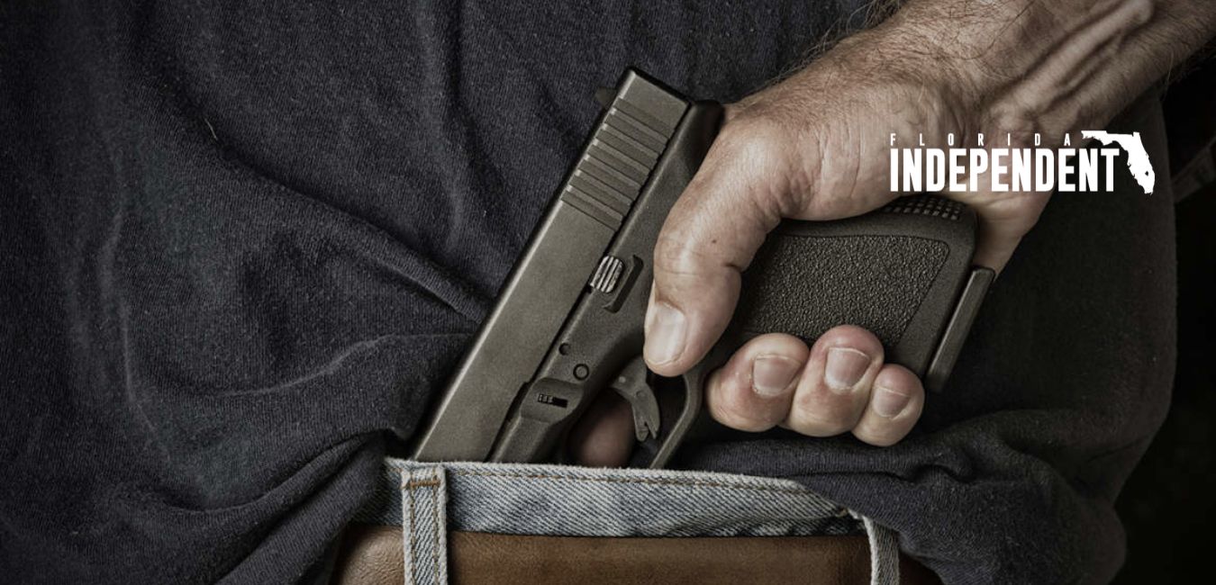 Navigating Firearm Carry Laws in Florida Insights from Personal