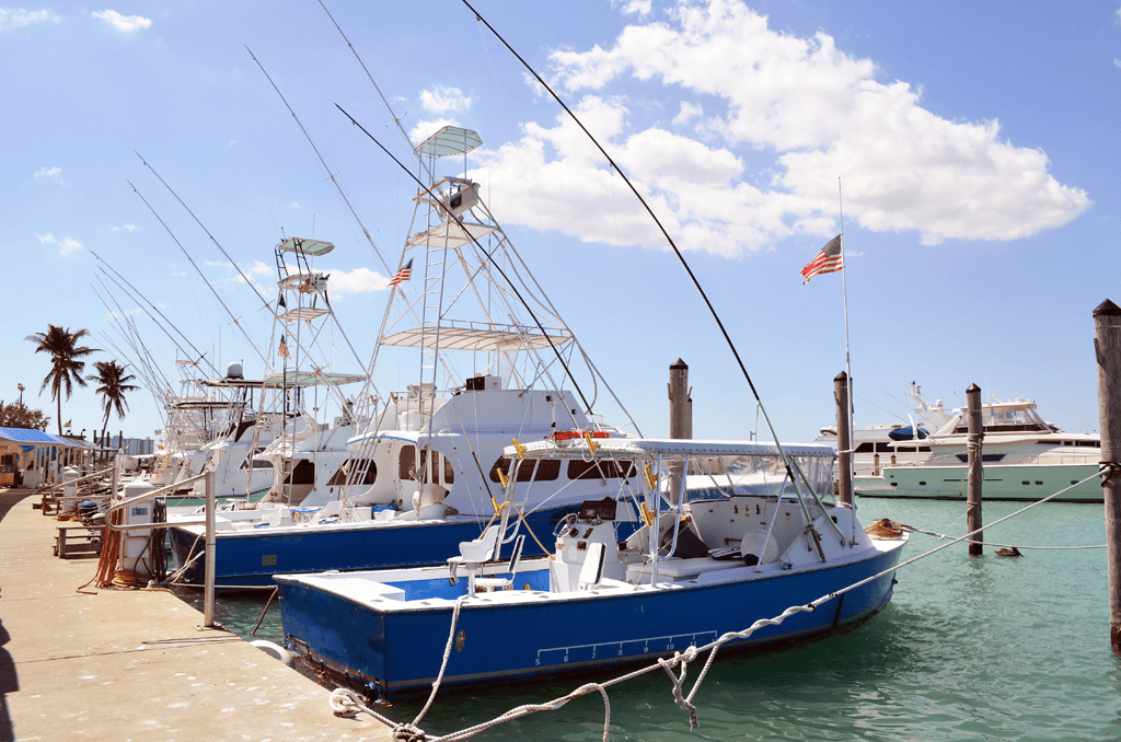 Tips to Consider When Choosing Charter Boat in Key West Florida Insider