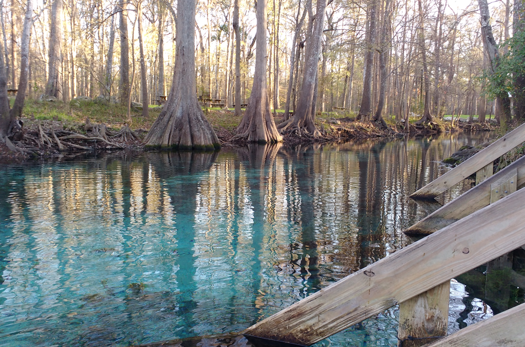 Nestlé Waters Given Rights to Bottle 1 Million Gallons of Florida