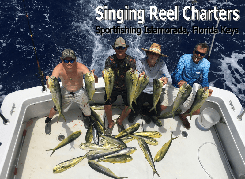 Islamorada Deep Sea Fishing Charters Florida Keys Offshore Fishing
