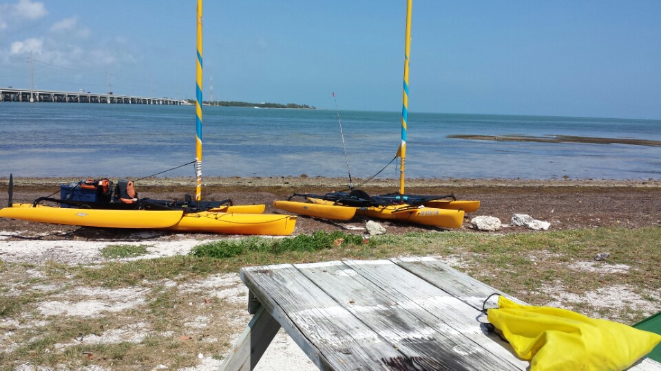 Royal Palm RV Park Florida Keys Camping