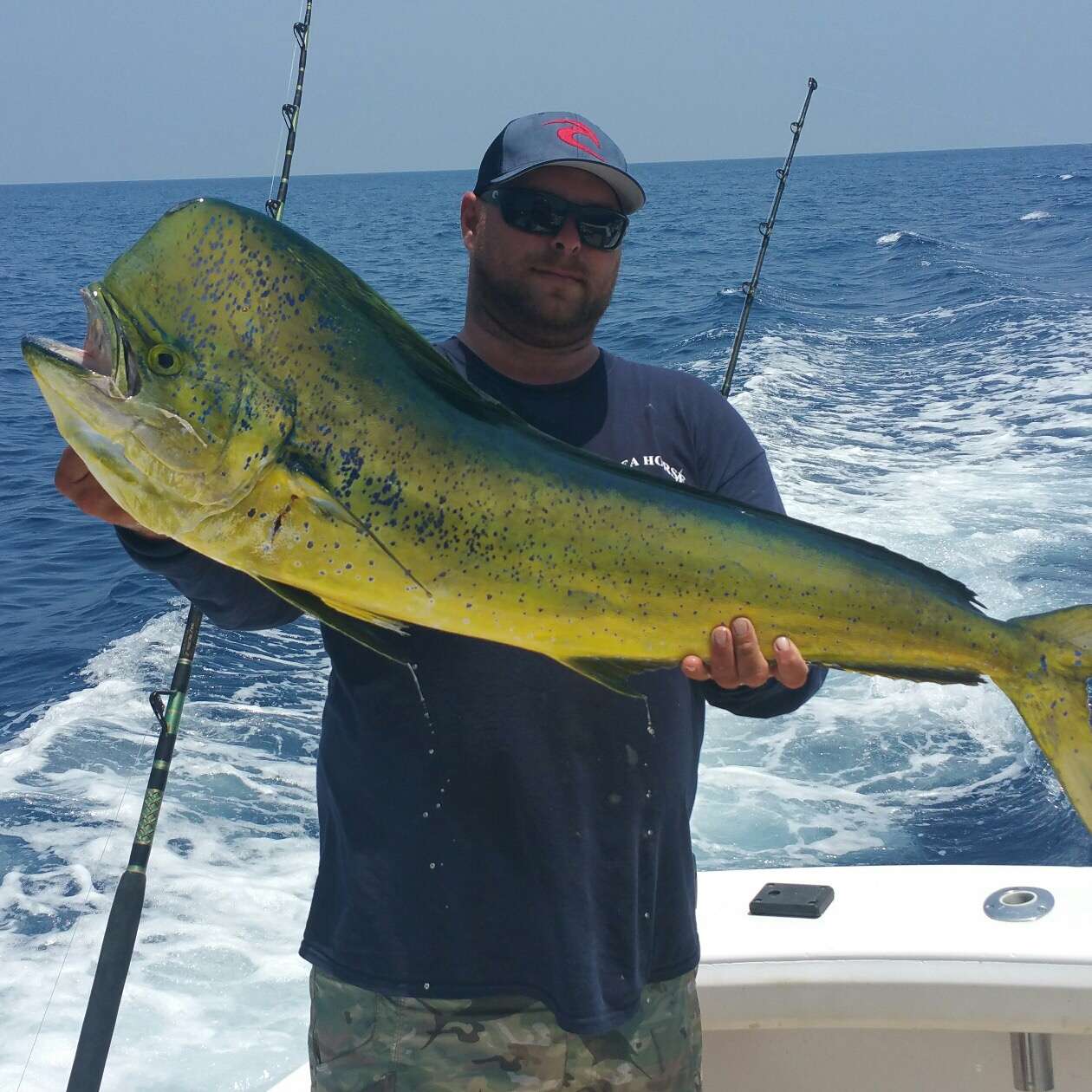 Mahi Mahi in Islamorada Florida Keys Fishing Islamorada Sport