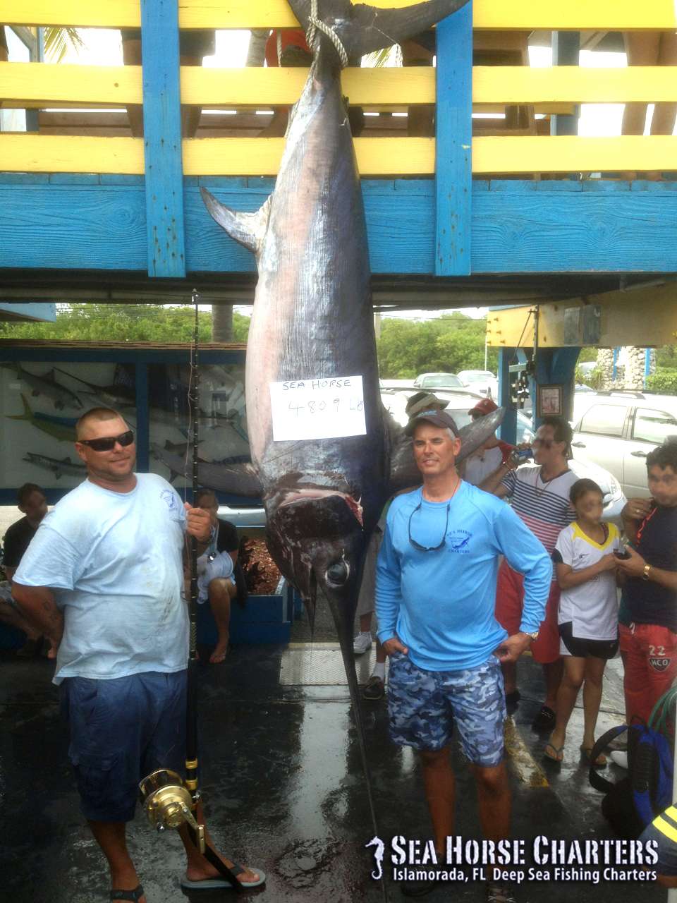 Monster Swordfish Catch! Florida Keys Fishing Islamorada Sport