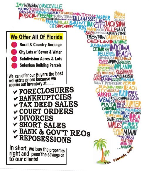 Who We Are Florida Land For You