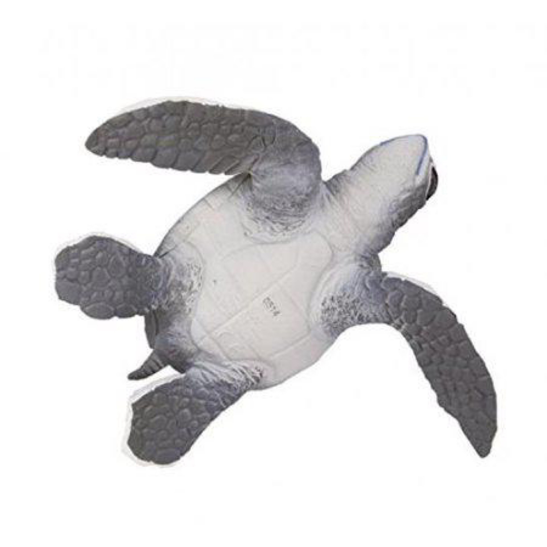 Grey Baby Sea Turtle Replica Florida National Parks Association