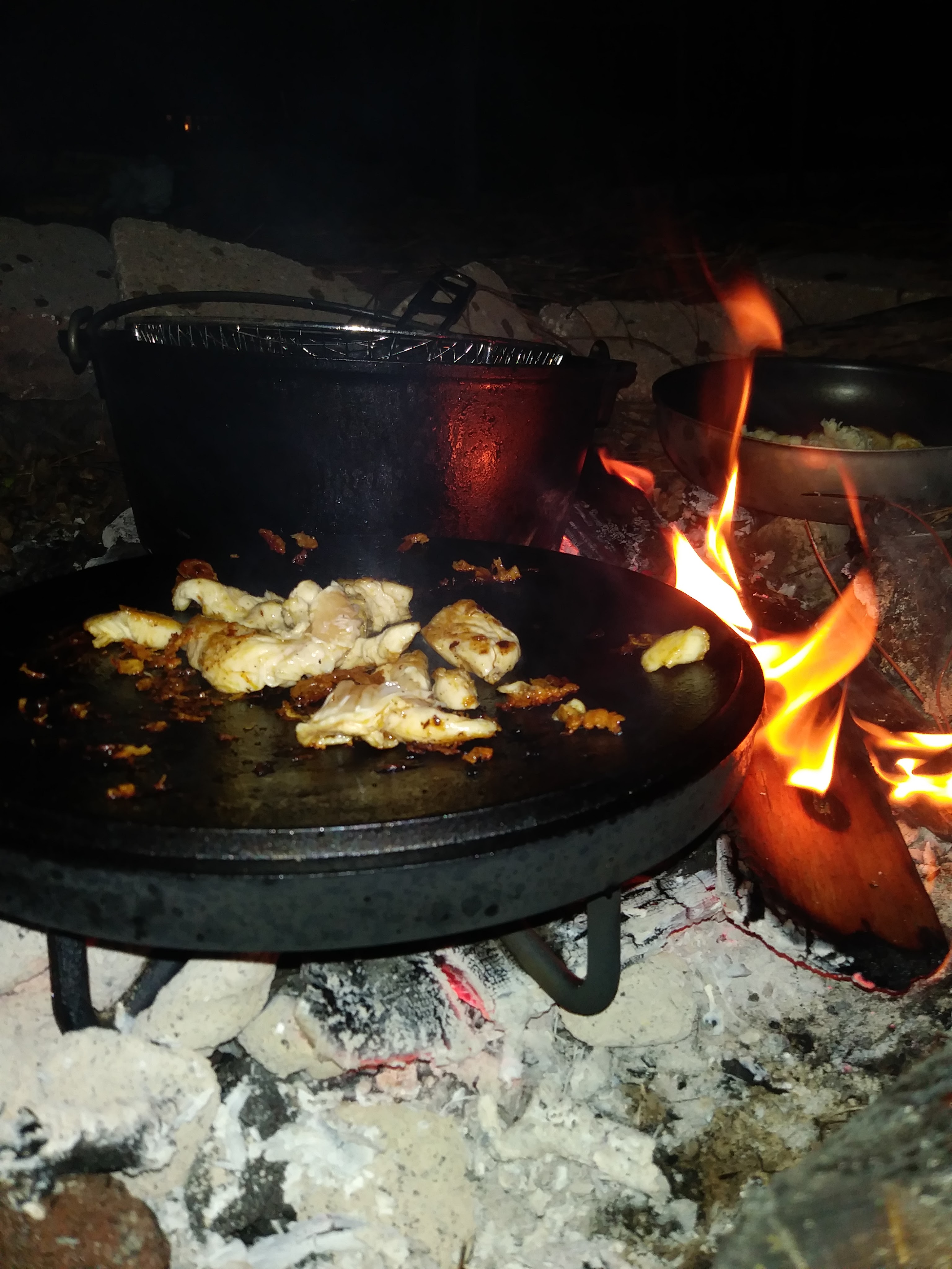 🍗Dutch oven Chicken Fajitas Florida O.A.T.S.