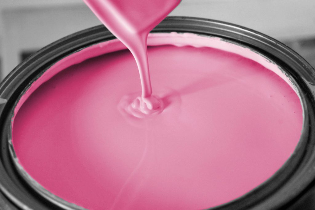 Paint It Pink! Florida Paints