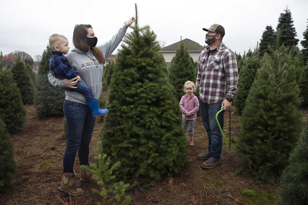 Many turn to real Christmas trees as bright spot amid virus