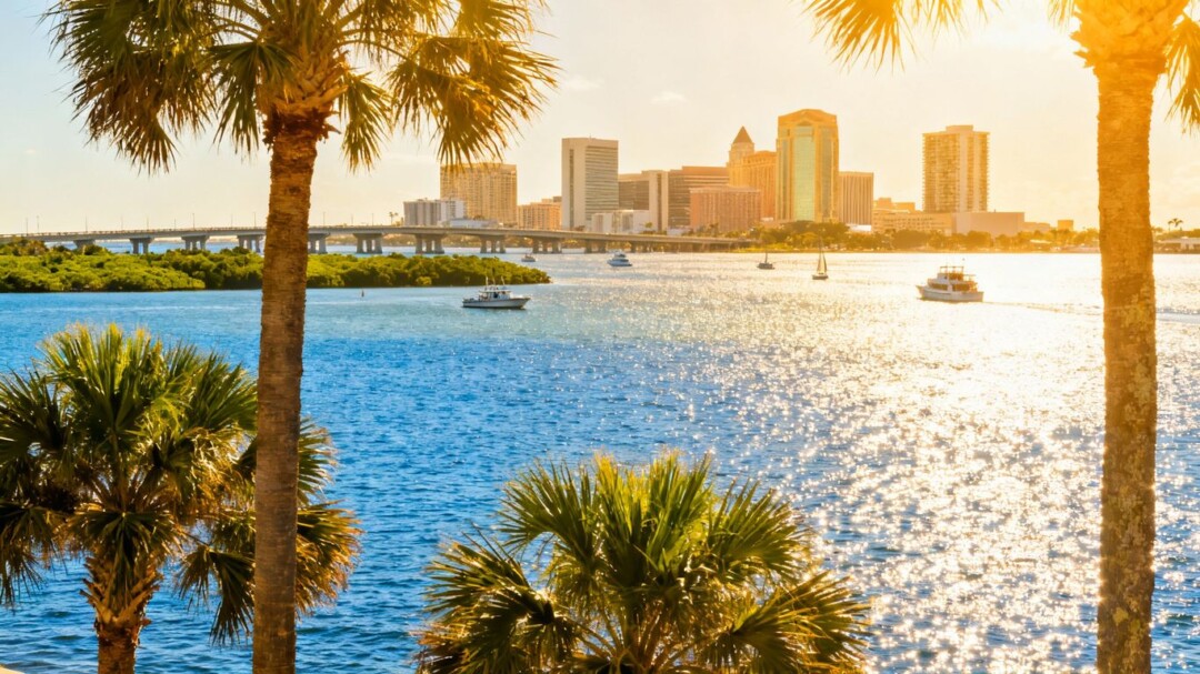 Your Ultimate Guide To Relocating To The Vibrant Tampa Bay Area