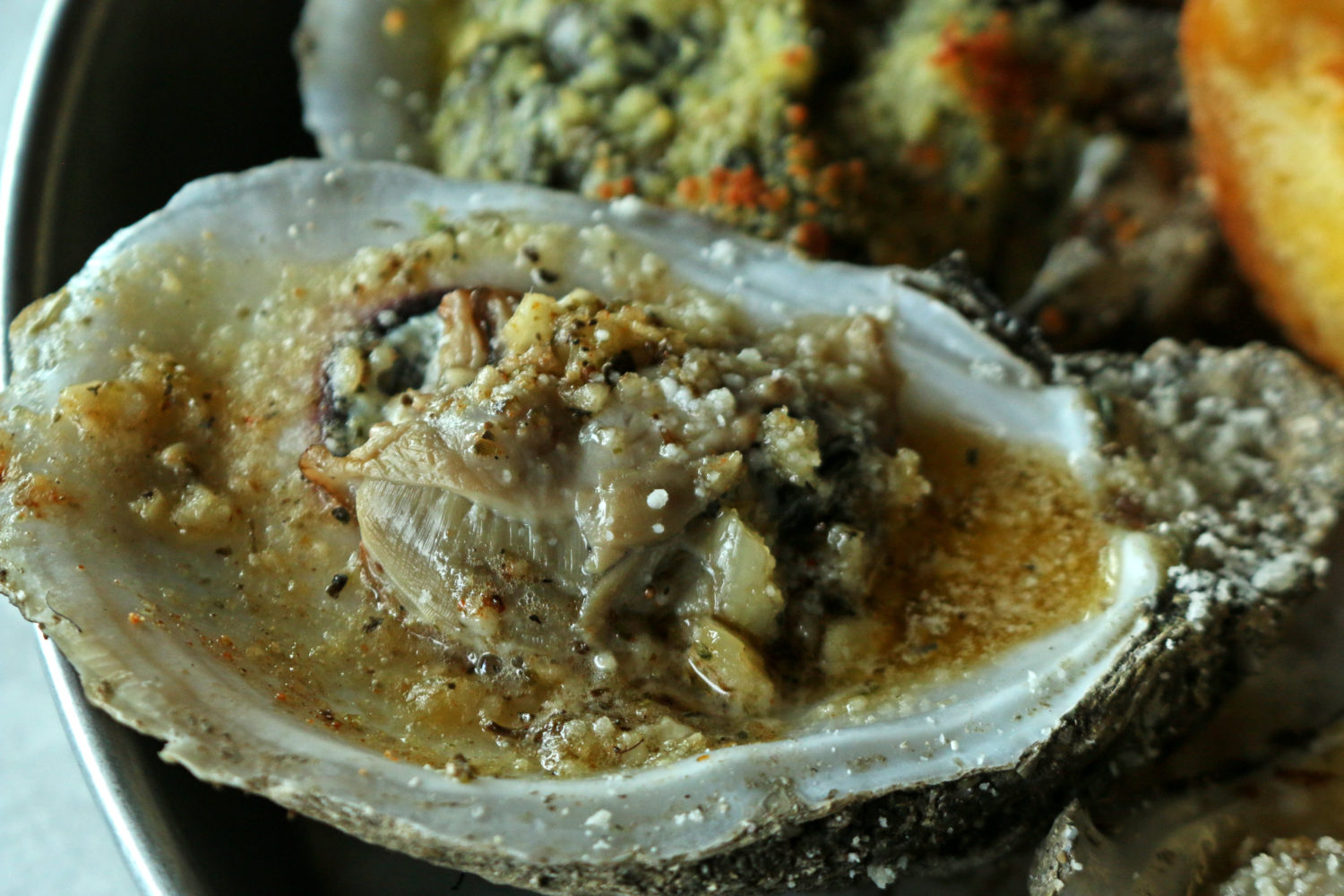 Harvesting and Cooking Shellfish Big Bend Shellfish Trail