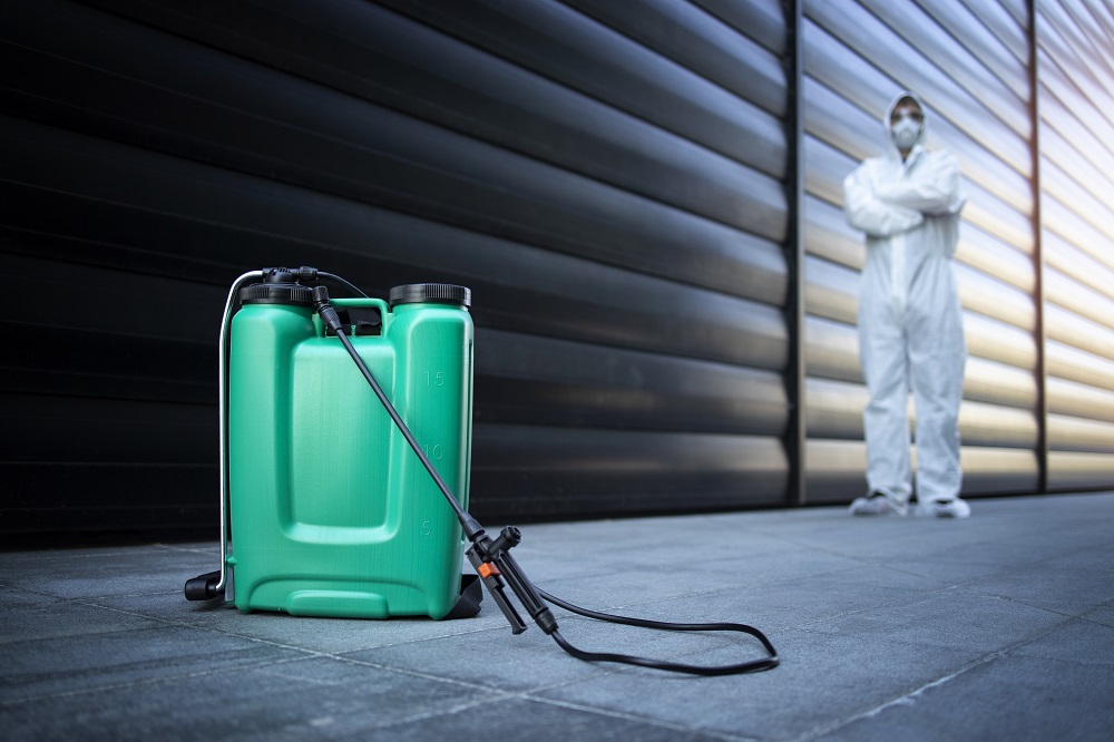 How Effective is Tentless Termite Treatment?