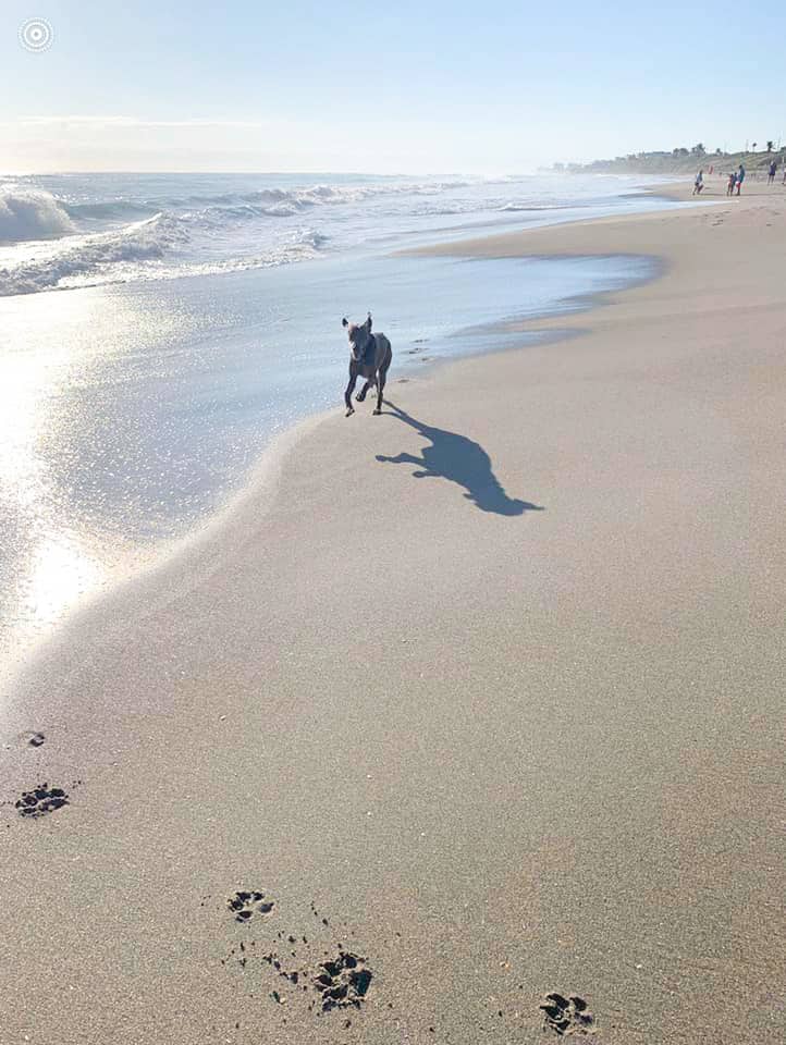 14 Best Things To Do in Jupiter You Shouldn't Miss! Florida Trippers