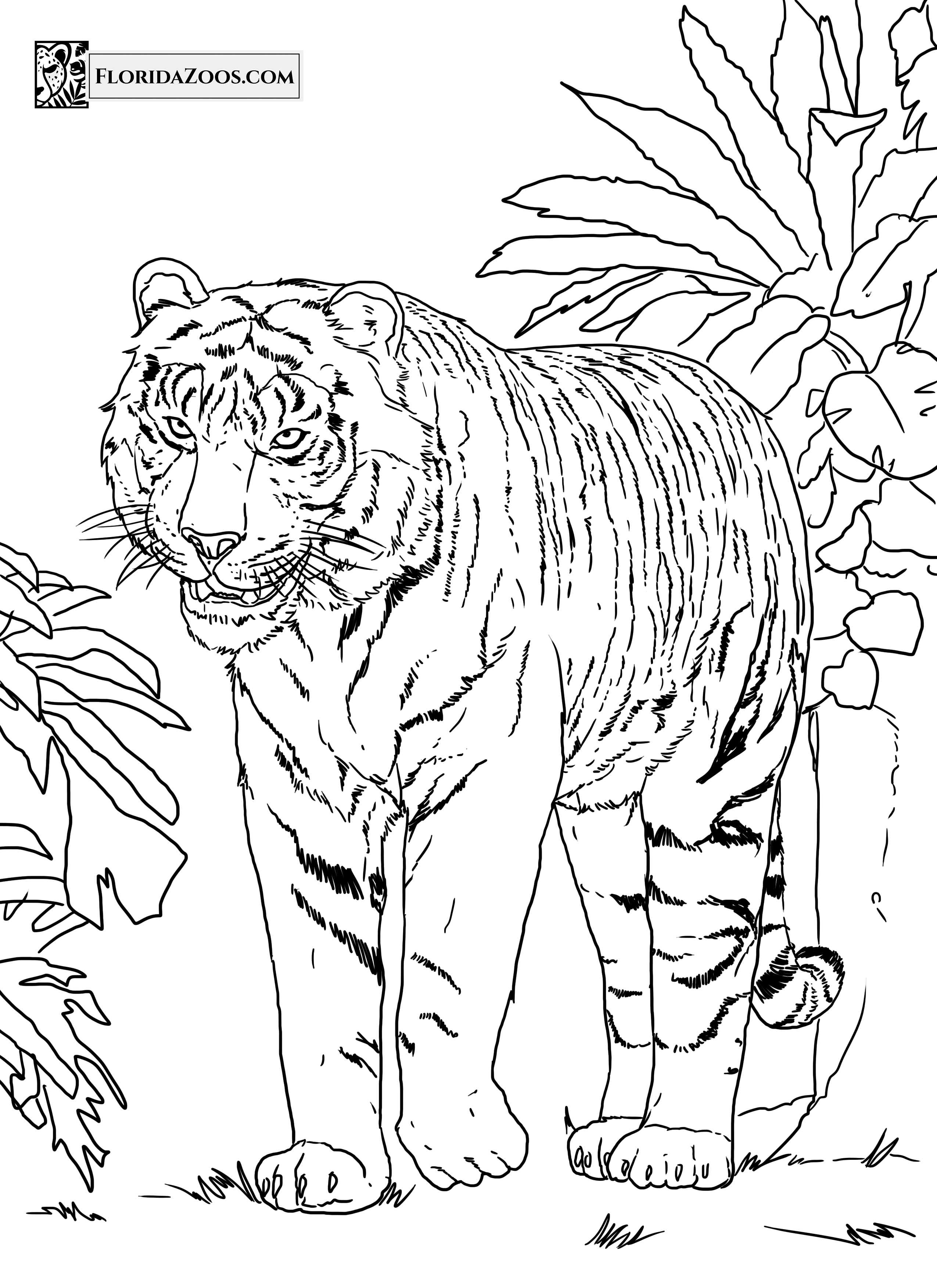 Zoo Animals Free Coloring Printables for Kids Florida Zoos