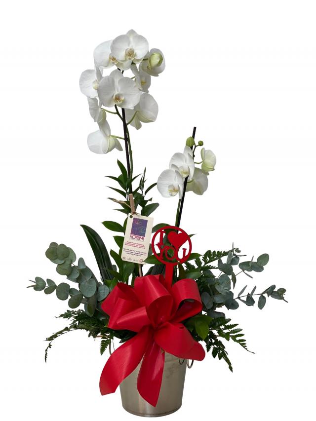 XXXAMOR Y AMISTAD 2023 Flores en Guatemala Enviar Flores a