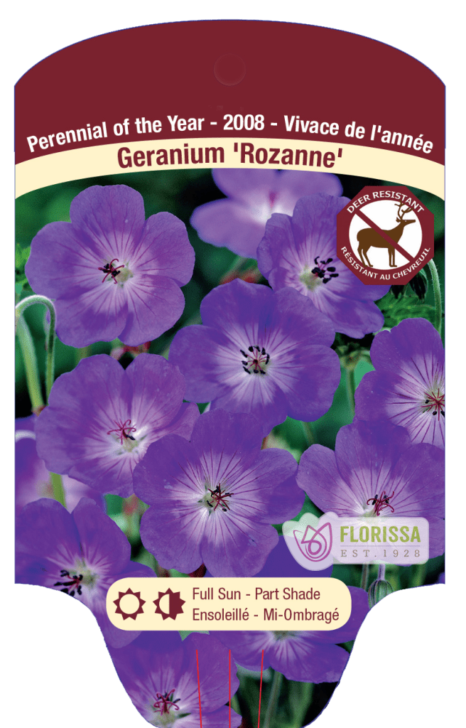 A Quick Guide to Hardiness Zones Florissa