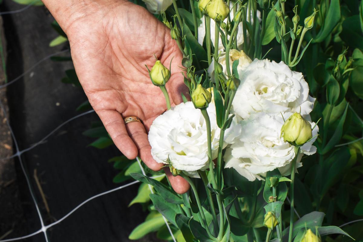 Betsy Levy and Her Woodbine Flower Farm Provide Bouquets, Wedding