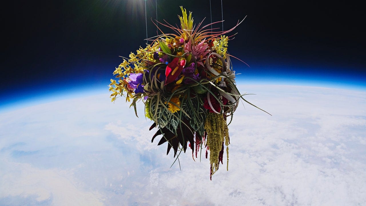 Azuma Makoto’s Provocative Botanical Sculptures, in “Flower Punk” Florists' Review