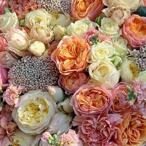 Bellevue Florist by FLORUM Bellevue Flower Delivery Best luxury