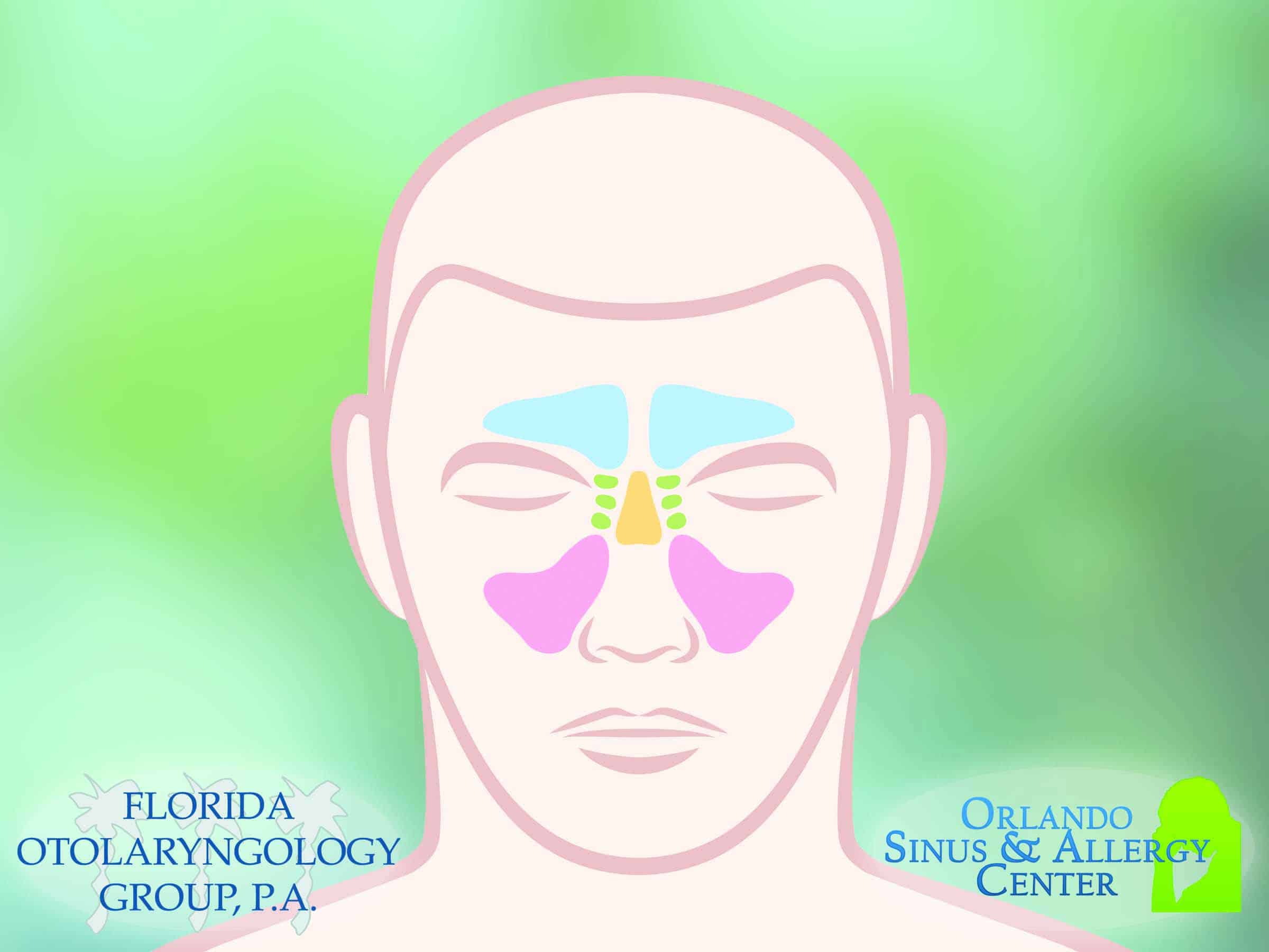 7 Proven Tips for Better Sinus Health Florida Otolaryngology Group