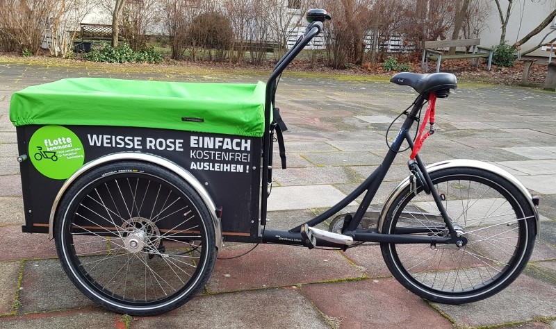 Weisse Rose fLotte Berlin
