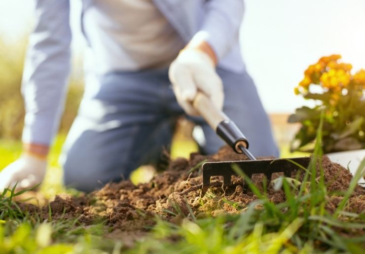 Raised Rows vs Flat Rows Gardening The Pros and Cons Flourishing Plants