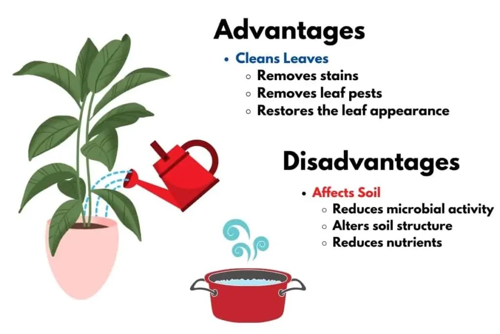 Using Hot Water on Plants What you should know! Flourishing Plants