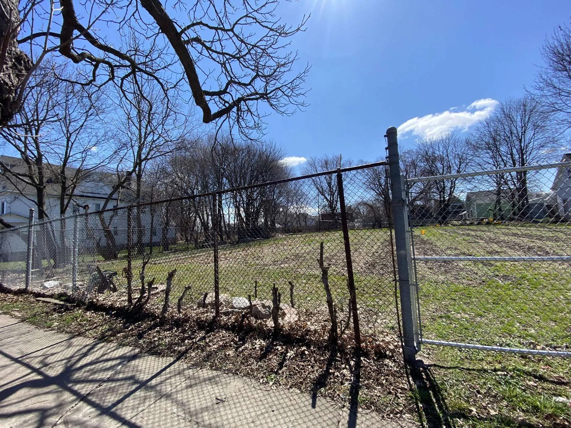 Community Projects Flower Fields Spencerport NY Nellie Gardner
