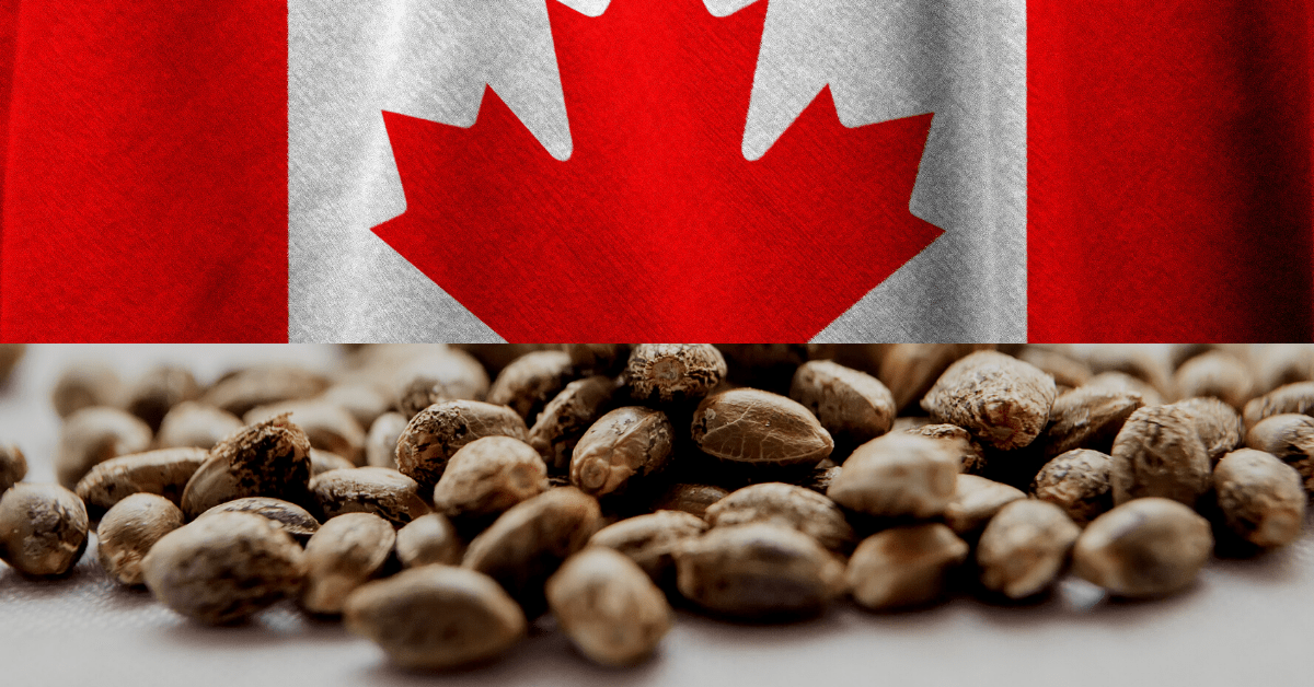 5 Best Canadian Seed Banks (Updated For 2024) Unbiased Opinion
