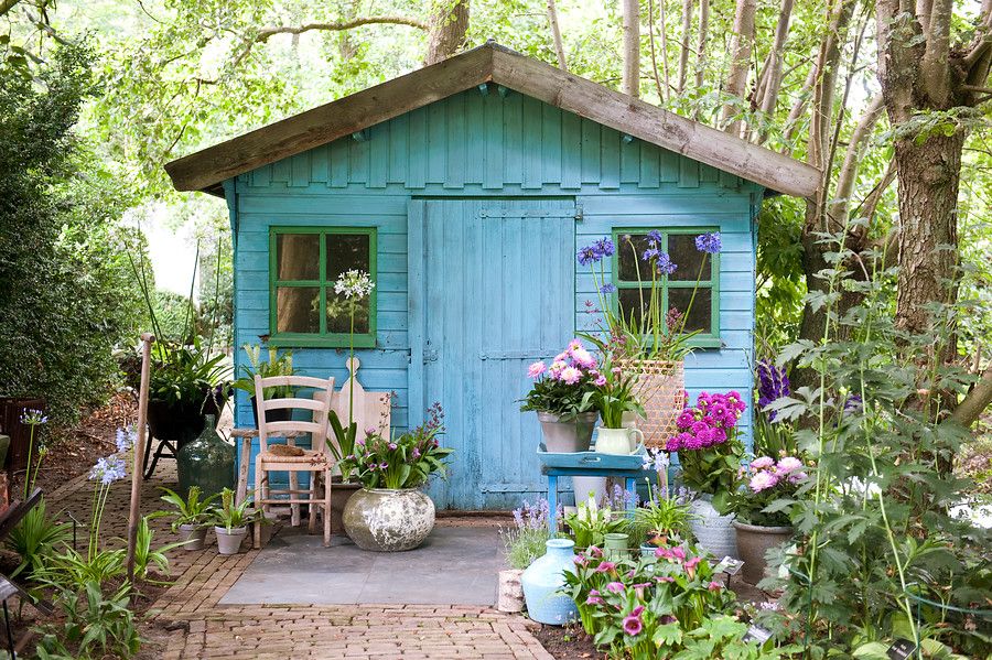 Plant summer bulbs in pots for extra colour Flowerbulbs.co.uk