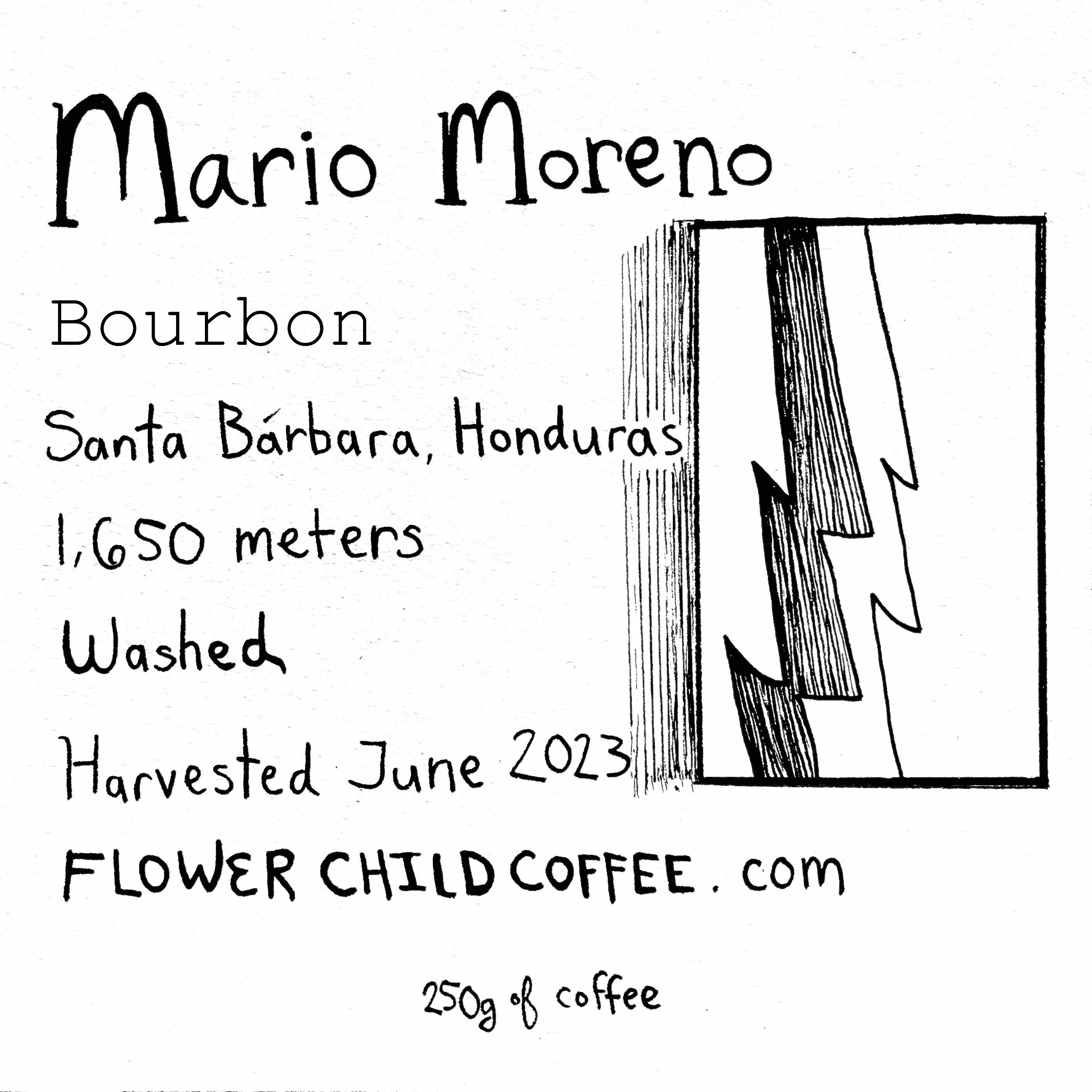 Mario Moreno FLOWER CHILD COFFEE