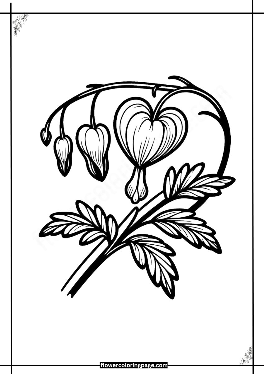Printable Bleeding Heart Coloring Pages Free PDF Flower Coloring Page