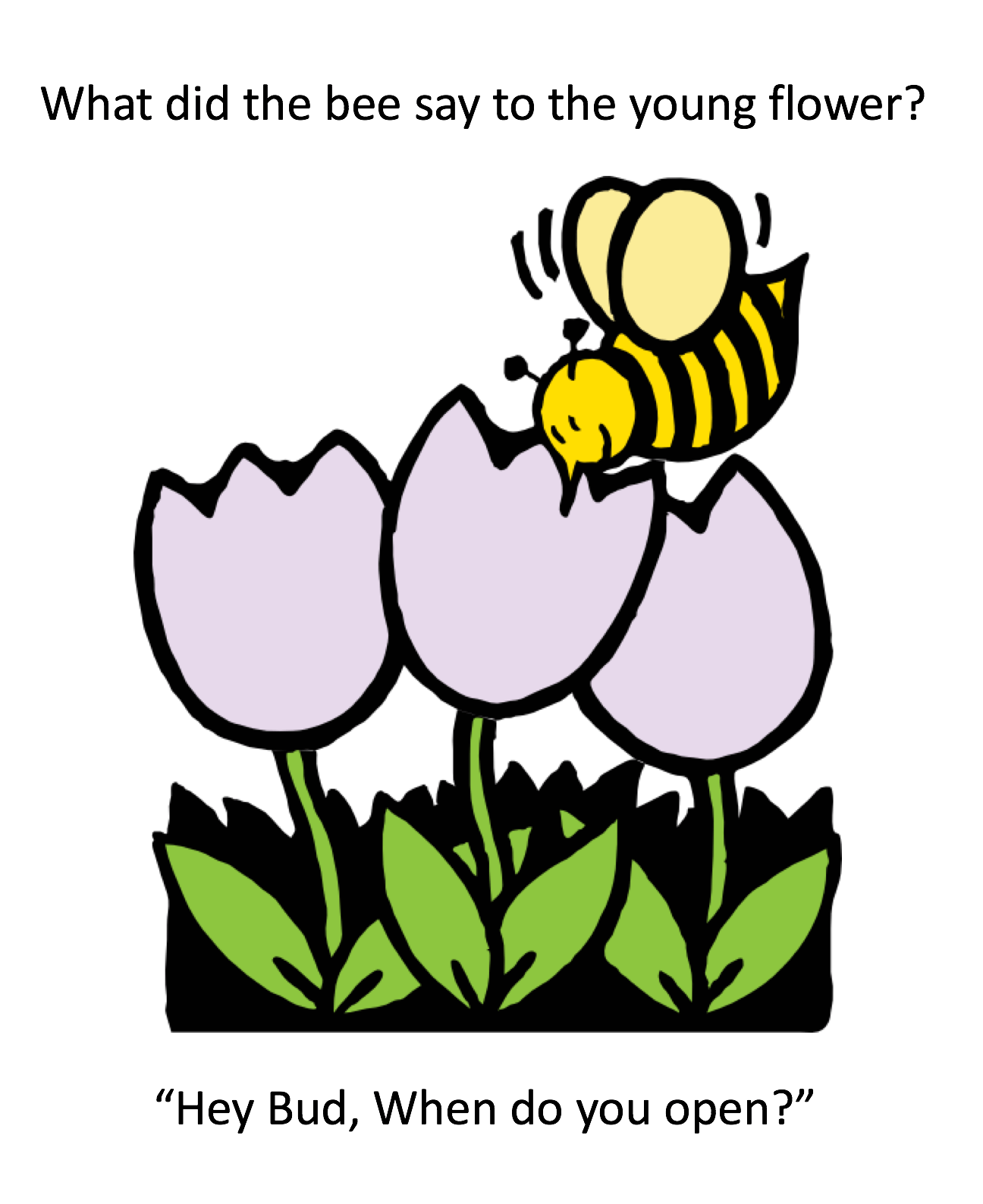 April 2017 Newsletter