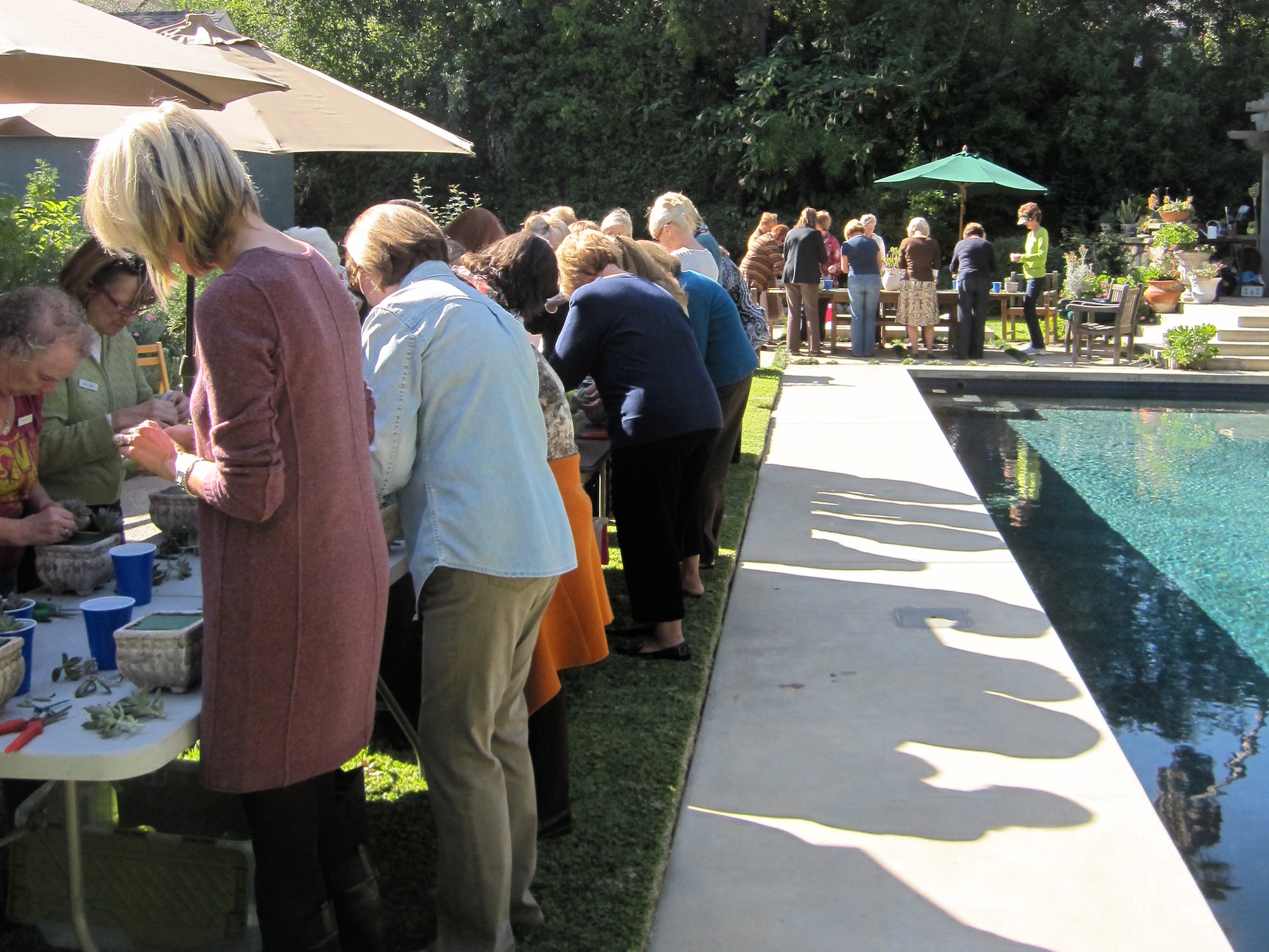 Flower Arrangement Course Community Centre Singapore Best Flower Site