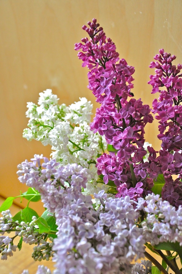 Floral Newsletter May 2012 Mother's Day Flowers HowTo