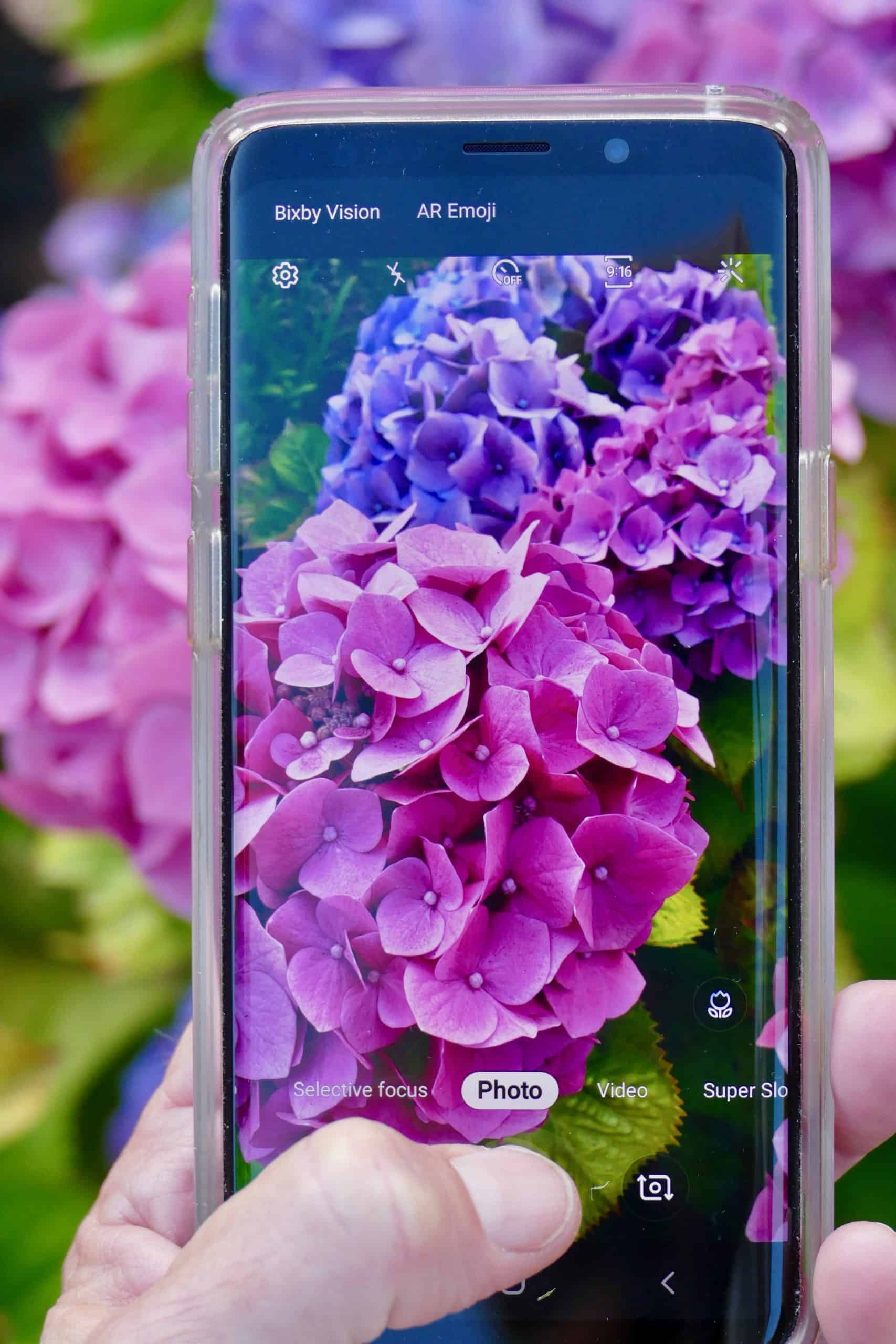 Free Online Flower Course March 2021