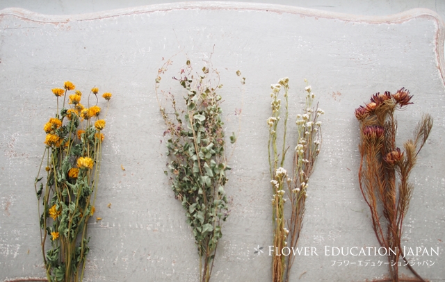 初心者でも簡単！おしゃれできれいなドライフラワーの作り方 自宅でドライフラワーを作る方法♪【ドライフラワーに向く花、向かない花】 | フラワーエデュケーションジャパン