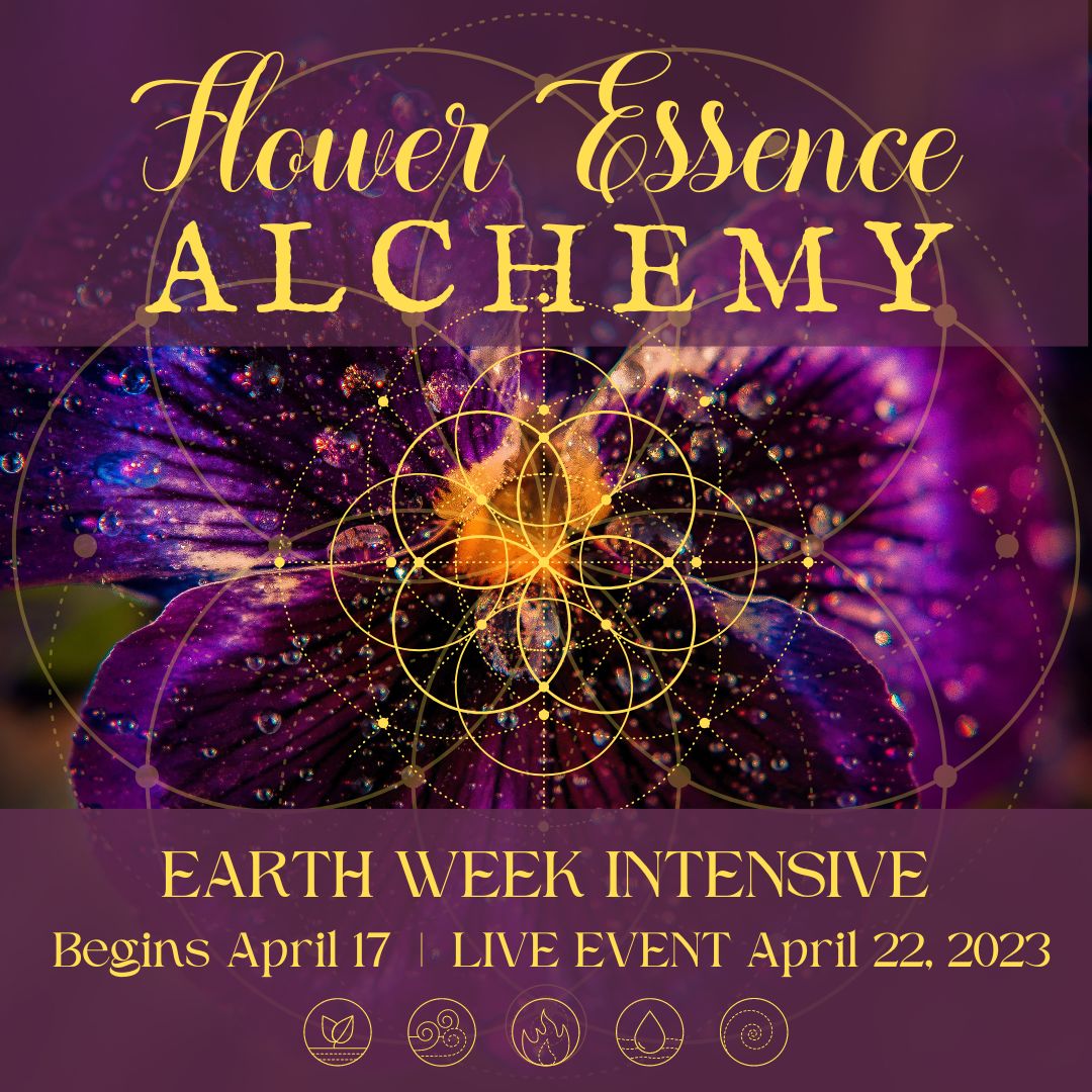 Flower Essence Alchemy Flower Essence Studies