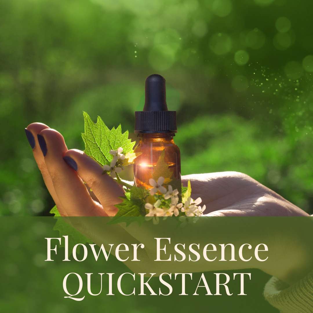 The School for Flower Essence Studies